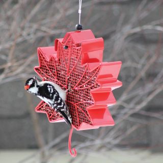 Maple Leaf Black Oil Sunflower Feeder Thumbnail